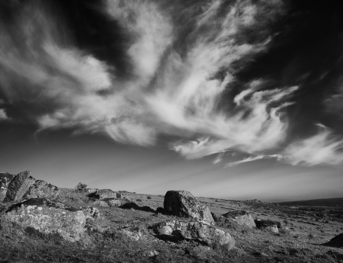 Meßsucher – an exhibition of photographs by  Andrew Butler